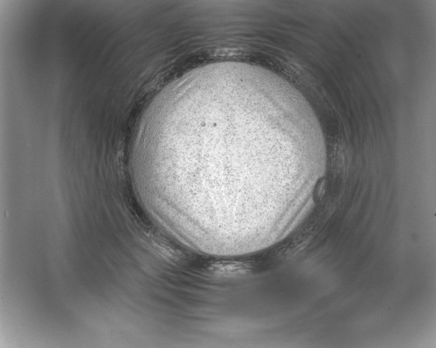 X0000064750557200603031736