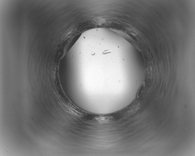 X0000064750558200603031736