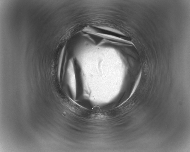 X0000064750559200603031736