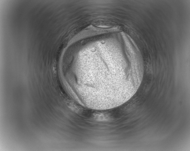 X0000064750561200603031736