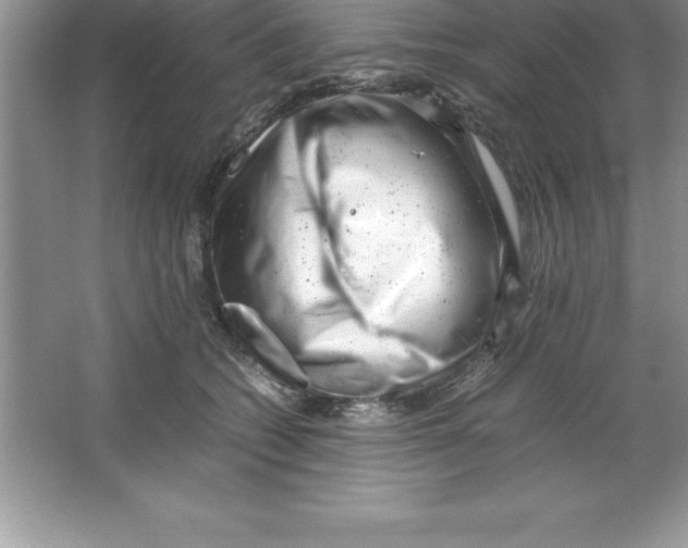 X0000064750562200603031736