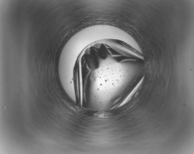 X0000064750564200603031736