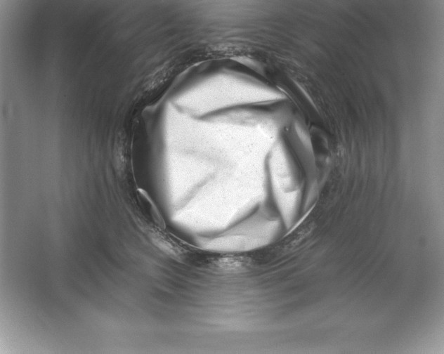 X0000064750566200603031736