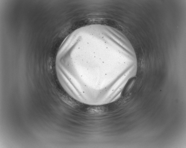 X0000064750567200603031736