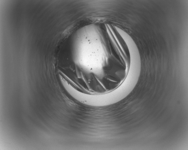 X0000064750570200603031736