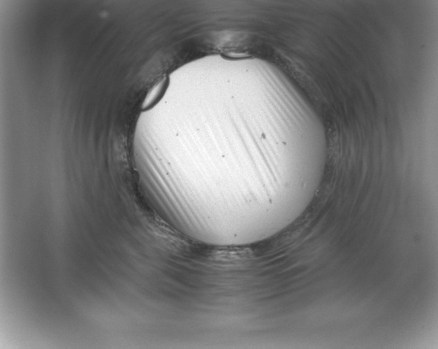 X0000064750571200603031736