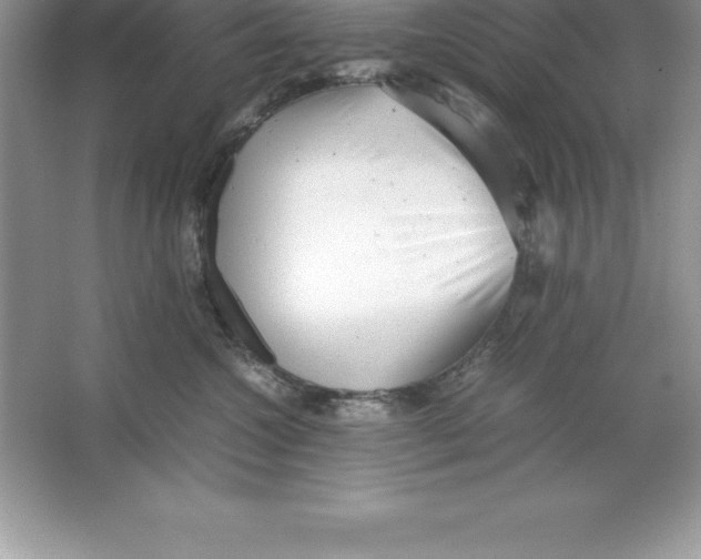 X0000064750572200603031736