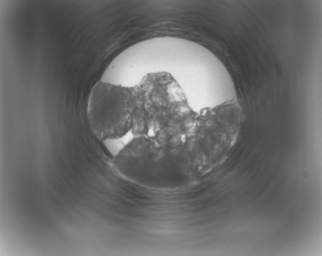 X0000064750573200603031736