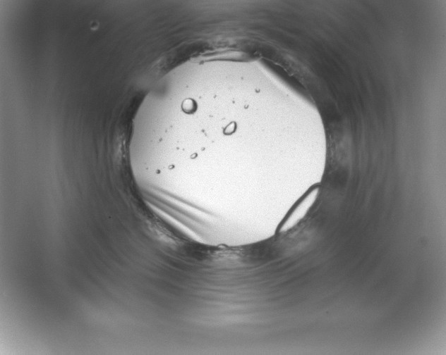 X0000064750574200603031736