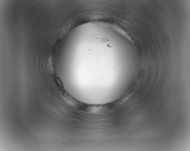 X0000064750575200603031736