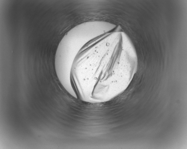 X0000064750576200603031737