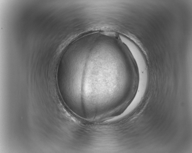 X0000064750577200603031736