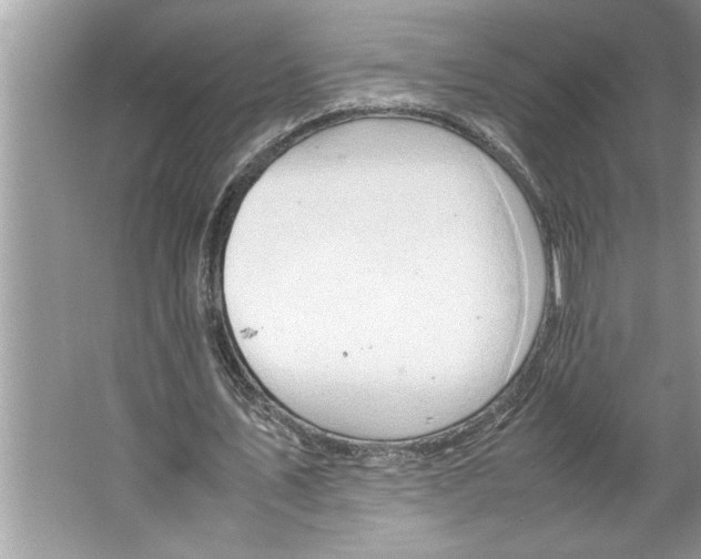 X0000064750579200603031736