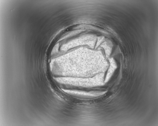 X0000064750580200603031736