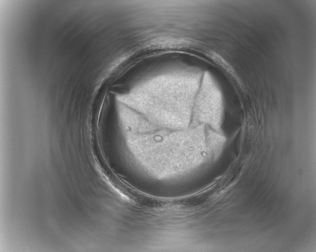 X0000064750581200603031736