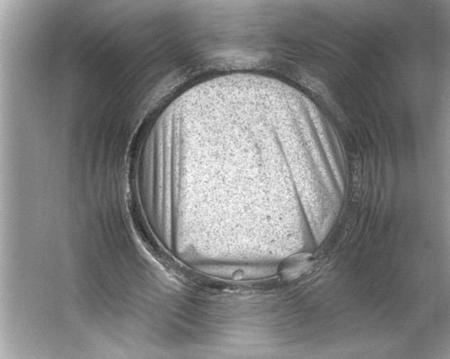 X0000064750582200603031736