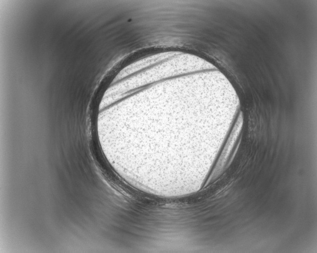 X0000064750584200603031736