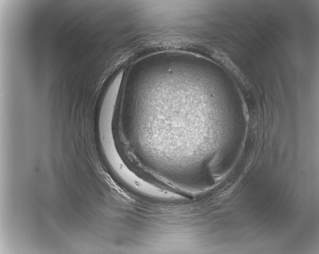 X0000064750585200603031736