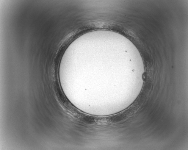 X0000064750587200603031736