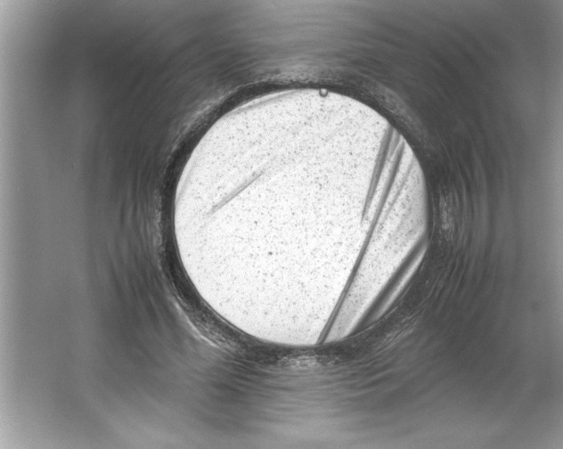 X0000064750588200603031736