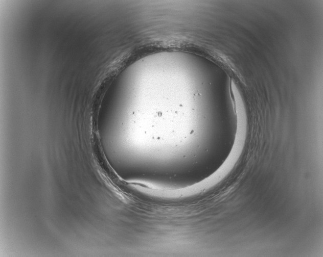 X0000064750589200603031735