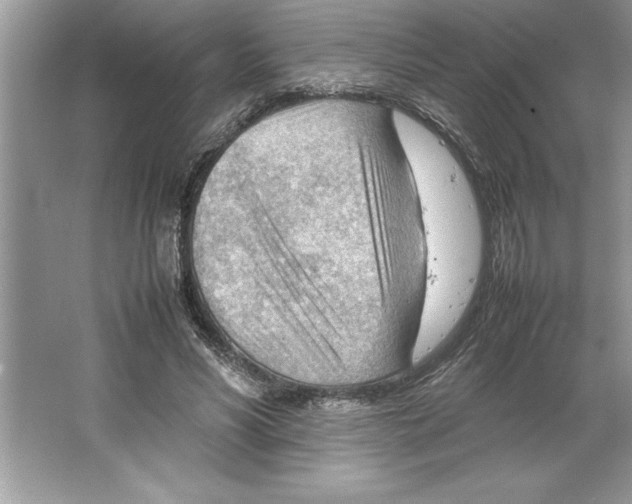 X0000064750590200603031735