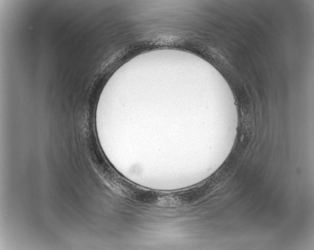 X0000064750591200603031735