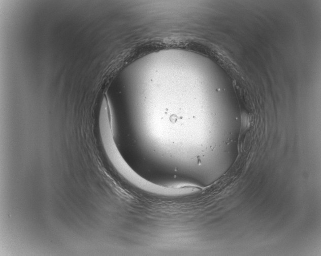 X0000064750593200603031735