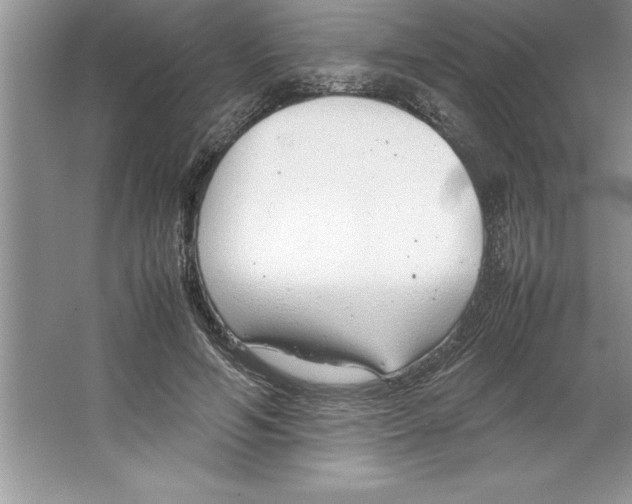 X0000064750594200603031735