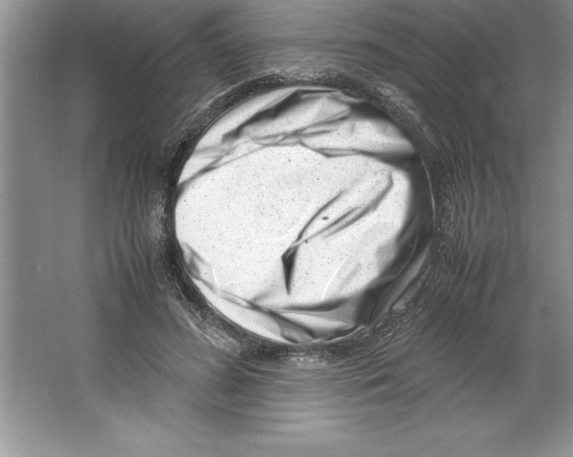 X0000064750596200603031735