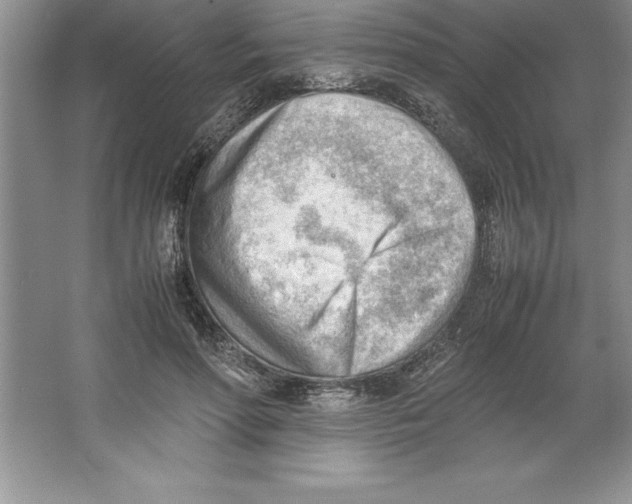 X0000064750598200603031735