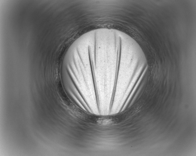 X0000064750602200603031735