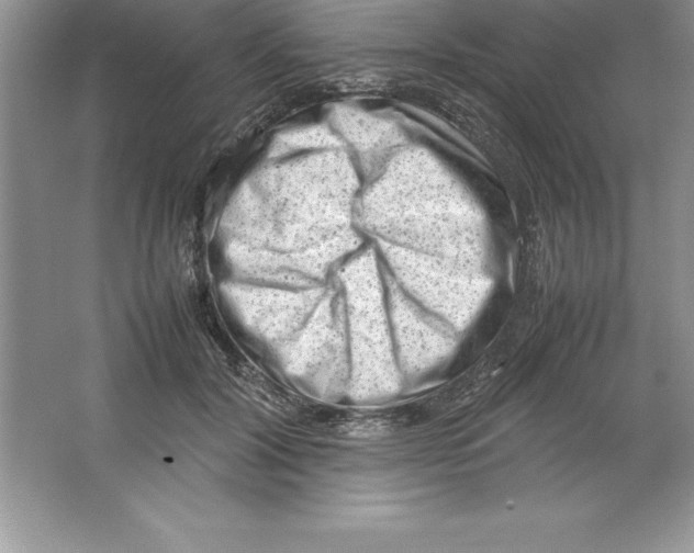 X0000064750604200603031735