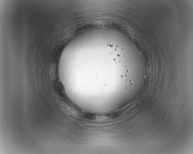 X0000064750605200603031735