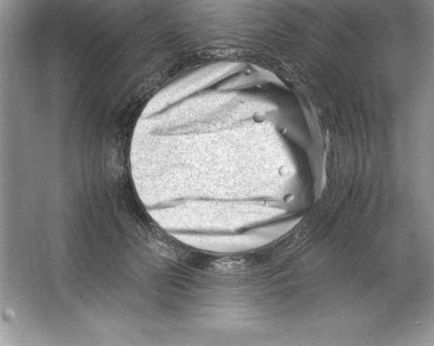 X0000064750606200603031735