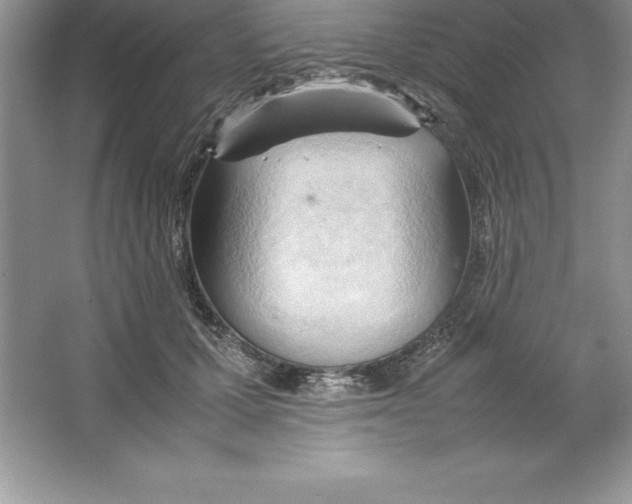 X0000064750607200603031735