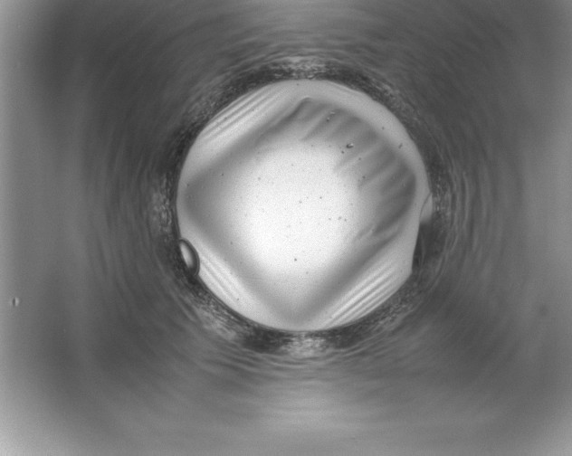 X0000064750609200603031735