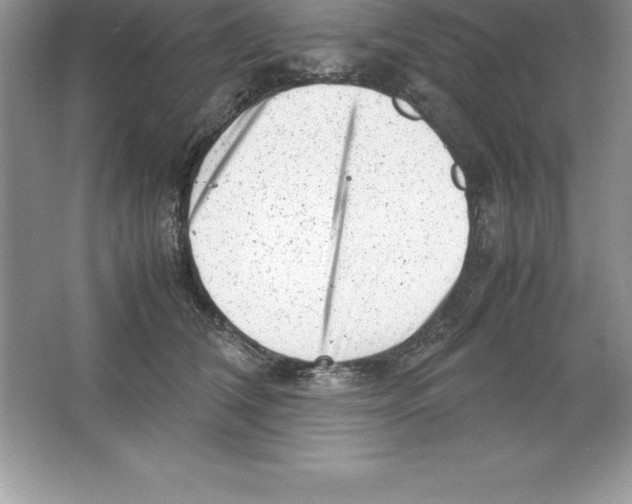 X0000064750612200603031735