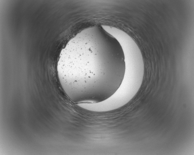 X0000064750613200603031735