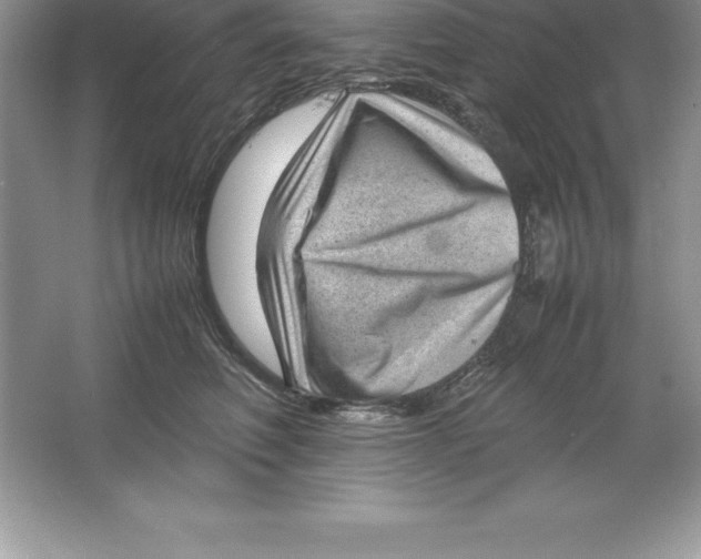 X0000064750614200603031735