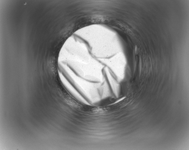 X0000064750616200603031735