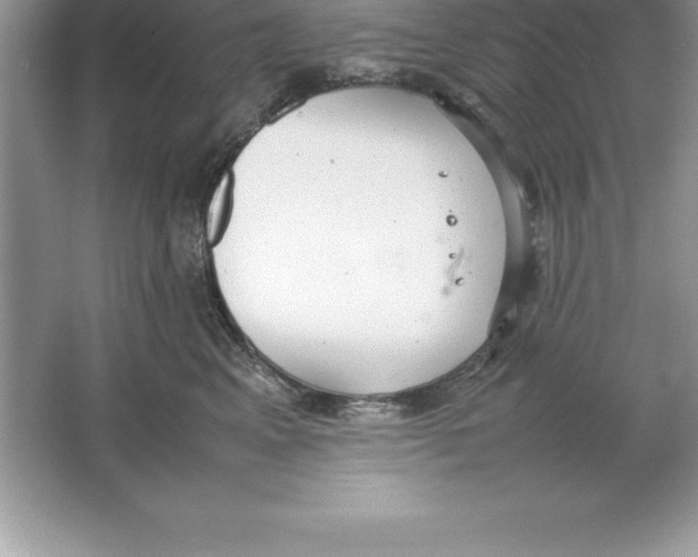 X0000064750617200603031735