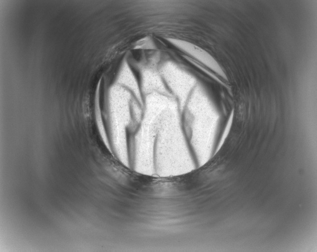 X0000064750620200603031735