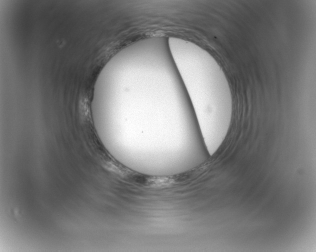 X0000064750621200603031735