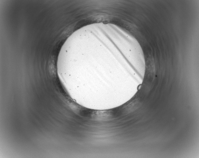 X0000064750622200603031735