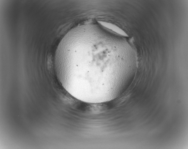 X0000064750623200603031735