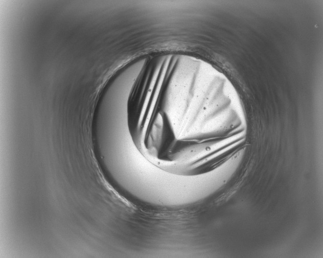 X0000064750625200603031734