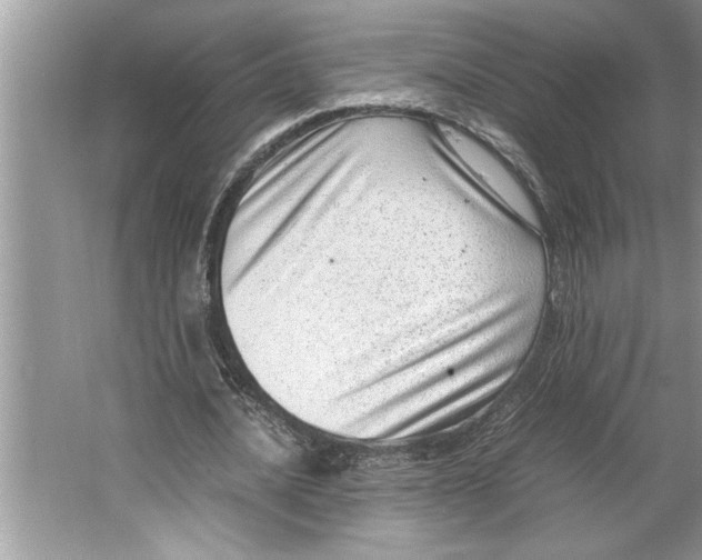 X0000064750628200603031734