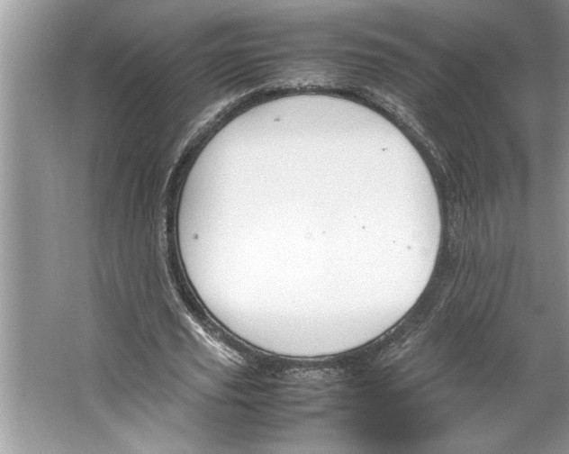 X0000064750629200603031734