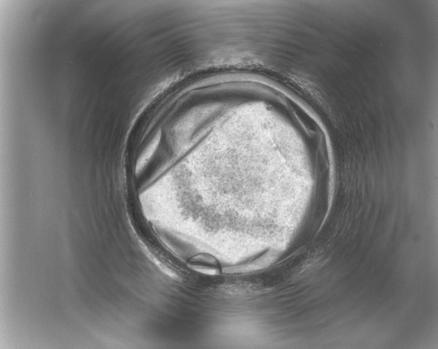 X0000064750630200603031734